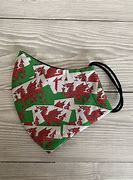 Image result for Welsh Dragon Flag Dinner Suit