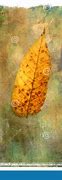 Image result for Painting On Leaf