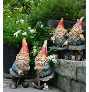 Image result for Ngan Gnomes Garden