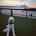 Image result for Hoboken Photos