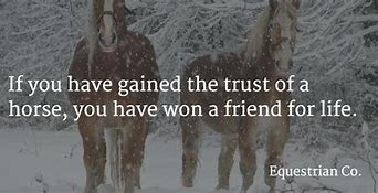 Image result for Common-Sense Equestrian Quotes