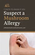 Image result for Mushroom Allergy