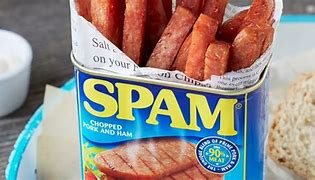 Image result for Spam Food