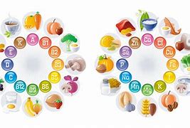 Image result for Mineral Supplements for Humans