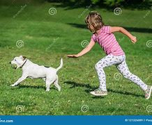 Image result for Dog Chasing Bush Pig