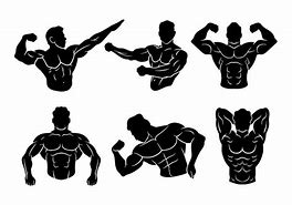 Image result for Flexing Clip Art