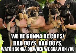 Image result for Funny Police Dog Memes