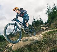 Image result for Trail Bike vs Enduro