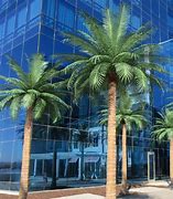 Image result for Artificial Palm Tree