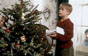 Image result for Home Alone Desen