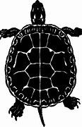 Image result for Turtle Graphic Design