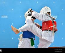 Image result for South Korean Taekwondo