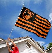 Image result for Orioles Flag