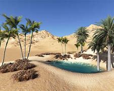 Image result for N Oasis