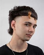 Image result for European Mullet Haircut