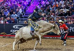 Image result for Intrust Bank Arena Rodeo