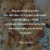 Image result for Dog and Human Quotes