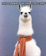 Image result for Llama Tierna