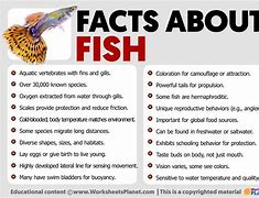 Image result for 7 Facts About Fish