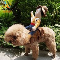 Image result for Horse Costume for Dog