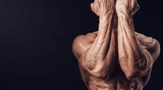 Image result for Ripped Forearms