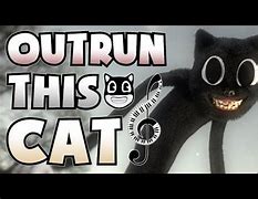 Image result for Cat Burrito Song