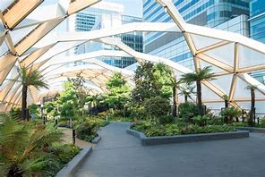 Image result for Crossrail Roof Garden