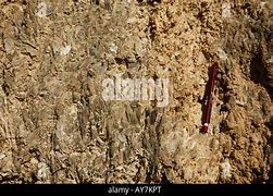 Image result for Rock Gypsum Sedimentary Rock