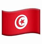 Image result for Tunisia Emoji