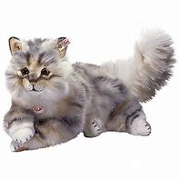 Image result for Maine Coon Cat Plush