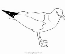 Image result for Stumpy Sea Gull