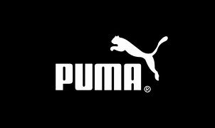 Image result for Puma Logo Evolution