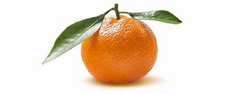 Image result for Clementine Gyat