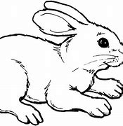 Image result for Disinterested Hare Clip Art