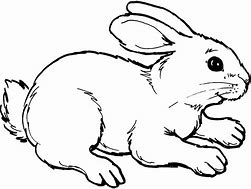 Image result for Clip Art Free Hare