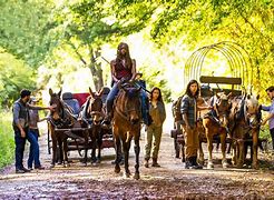 Image result for The Walking Dead 9