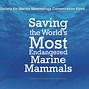 Image result for Marine Mammal Science