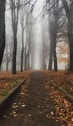 Image result for Foggy Path Landscape