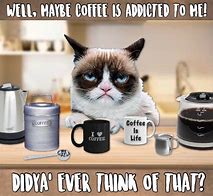 Image result for Grumpy Cat with Coffee