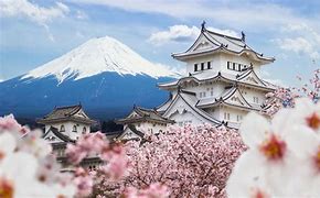 Image result for Japan Pp Puicture