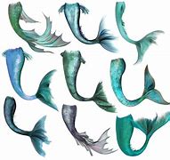 Image result for Mermaid Fin