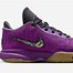 Image result for LeBron Purple Inside