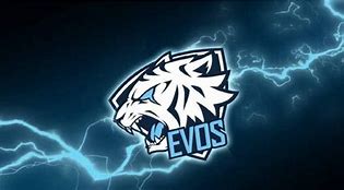 Image result for Evos Ml