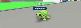 Image result for Adopt Me Turtle