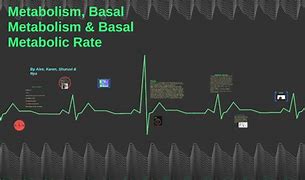 Image result for Basal Metabolic Rate with Black Background