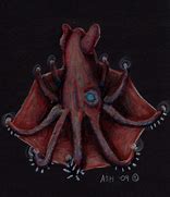 Image result for Vampire Squid