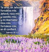 Image result for Salmos 18 1