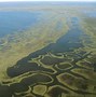 Image result for Coastal Plain Virginia