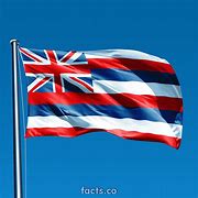 Image result for The Hawaiian Flag