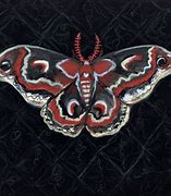 Image result for moth head art